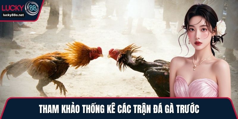 Tham khảo thống kê các trận đá gà trước