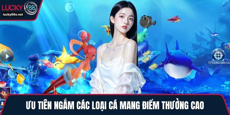 Ưu tiên ngắm các loại cá mang điểm thưởng cao